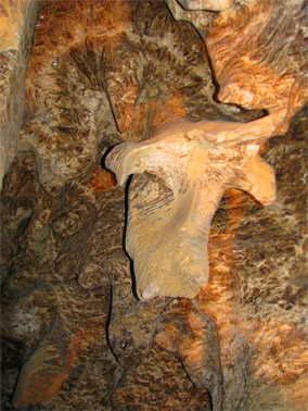 Печера кришталева. буйвол