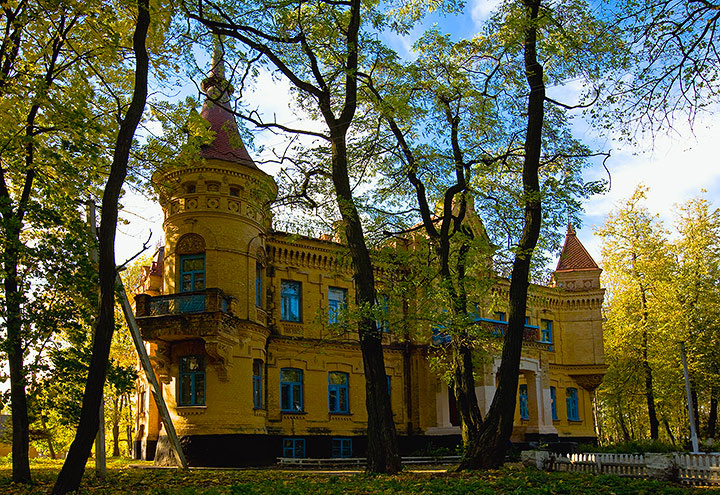 Дворец Уваровой, Турчиновка
