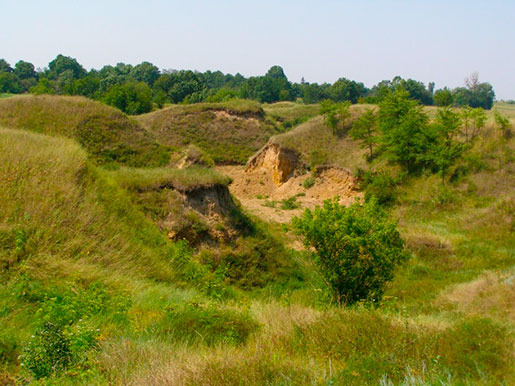 Метеоритный кратер, Ильинцы