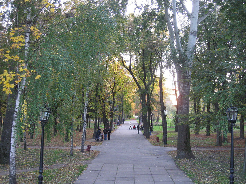 Алея. Парк Кожедуба. Автор фото – IgorTurzh