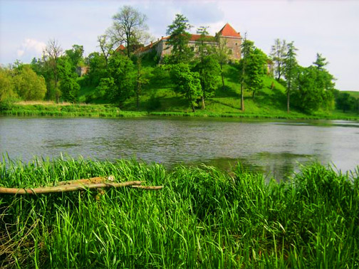 Замок Свірж. річка Свірж