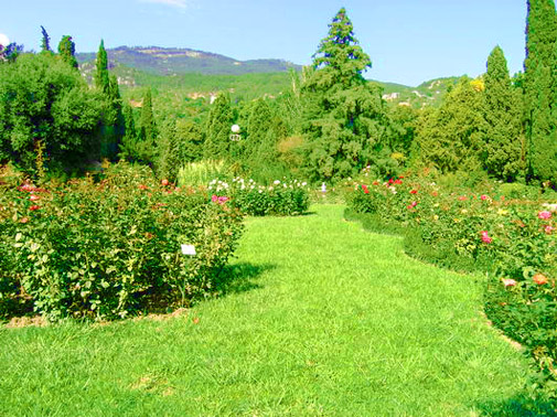 Нікітський ботанически сад
