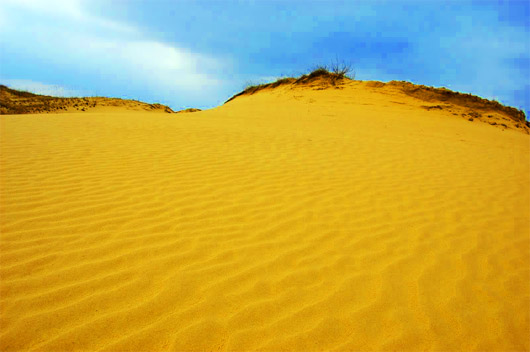 Алёшкинские пески