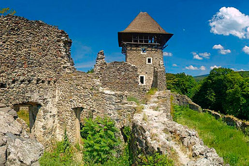 Замок в Невицькому