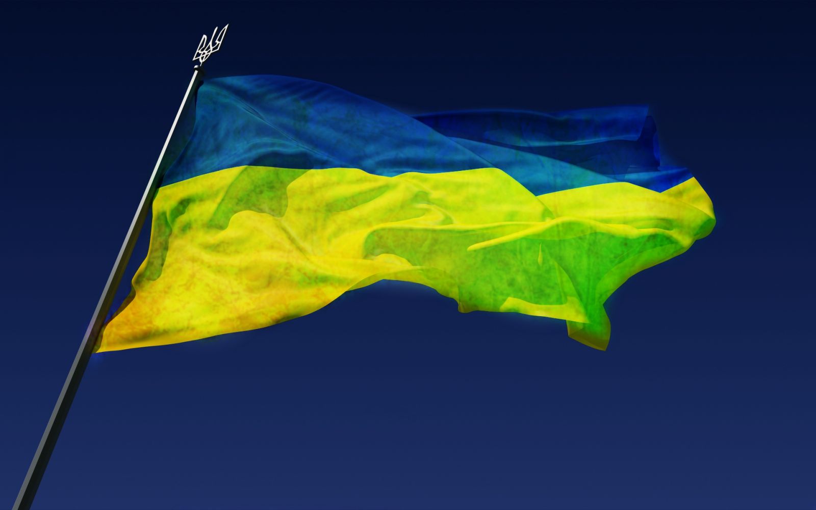 Прапор України на День Конституції